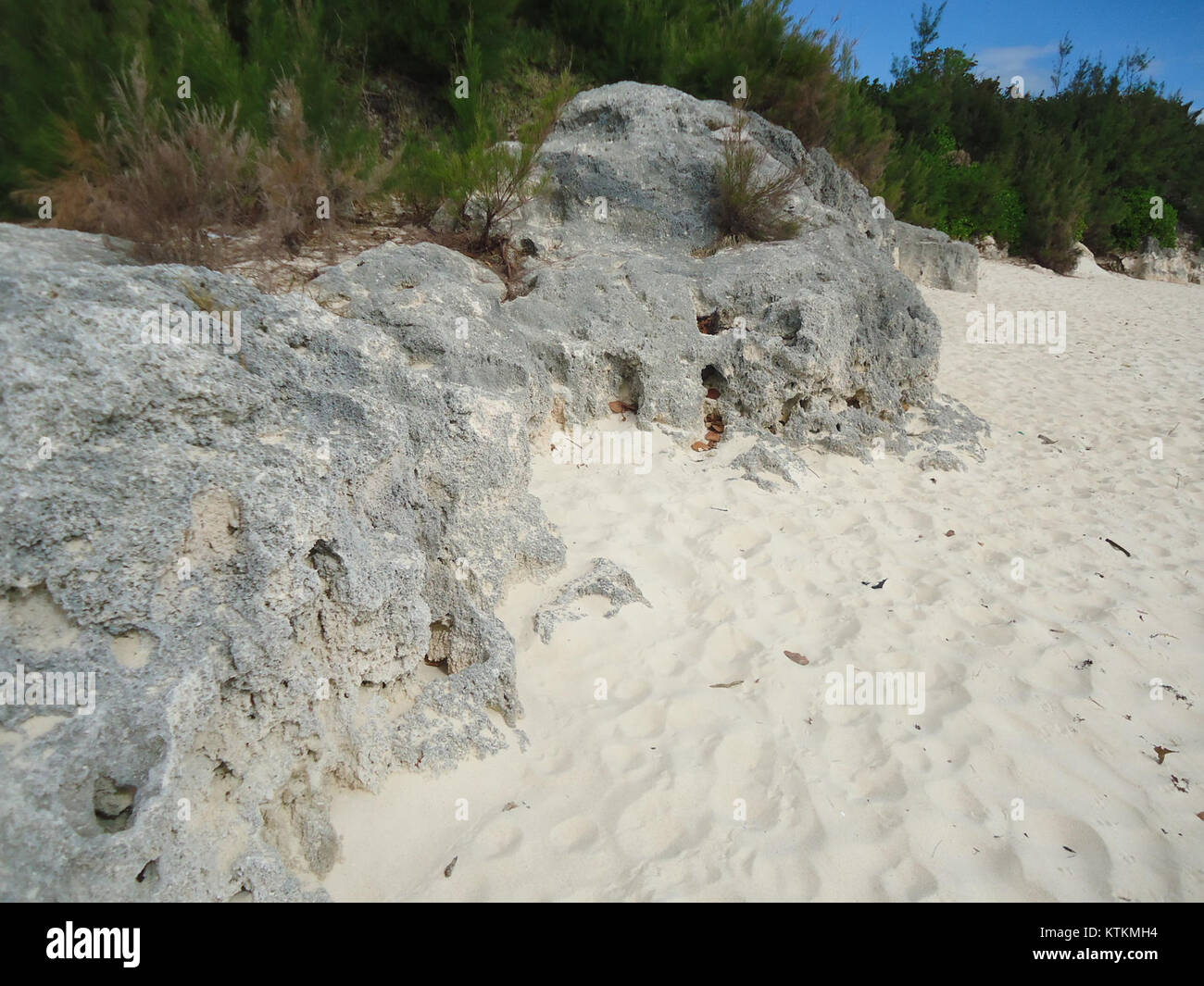 Ein malerischer Strandblick auf Bermuda, ein britisches Überseegebiet mit malerischer Küste. Die Insel ist bekannt für ihre atemberaubenden Strände, das kristallklare Wasser und die natürliche Schönheit. Stockfoto Ein malerischer Strandblick auf Bermuda, ein britisches Überseegebiet mit malerischer Küste. Die Insel ist bekannt für ihre atemberaubenden Strände, das kristallklare Wasser und die natürliche Schönheit. Stockfoto