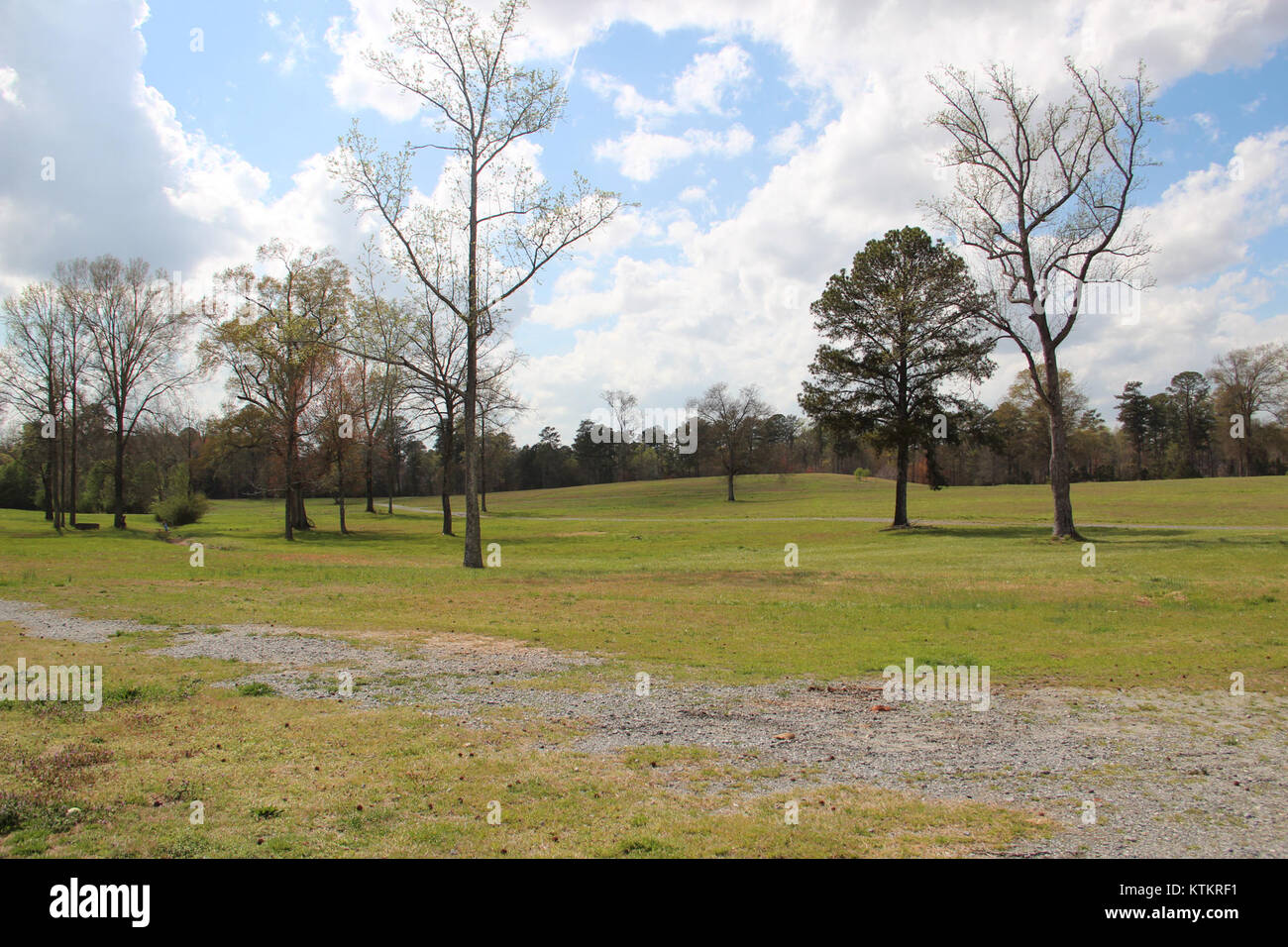 Die Grasfelder des Atlanta Athletic Club, die im März 2017 aufgenommen wurden, zeigen die gut gepflegten Sportanlagen, die für verschiedene sportliche Aktivitäten und Veranstaltungen im Club genutzt werden. Stockfoto