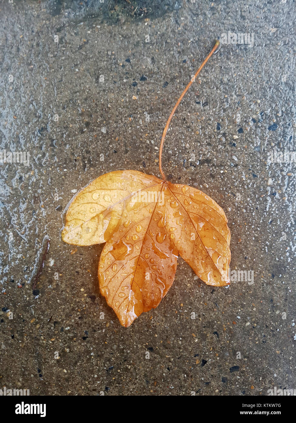Dieses Foto zeigt einen Sommerregen in Bangkok am 13. Mai 2017. Das Bild zeigt die legendären nassen Straßen der Stadt und die lebhafte urbane Umgebung, die typisch für die Monsunsaison ist. Stockfoto