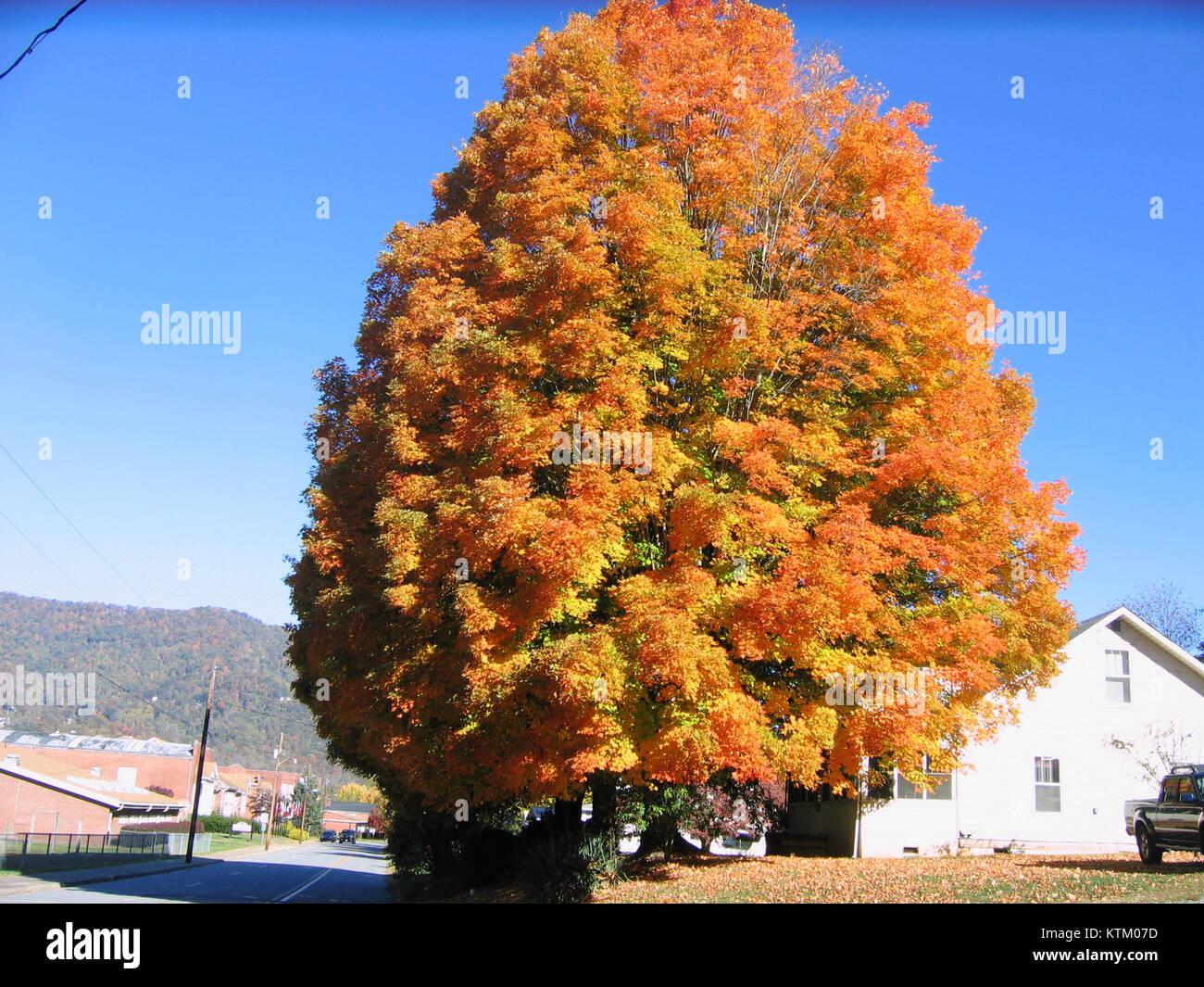 Herbst Farbe von Hazelwood elementare Folkmoot (34360293616) Stockfoto