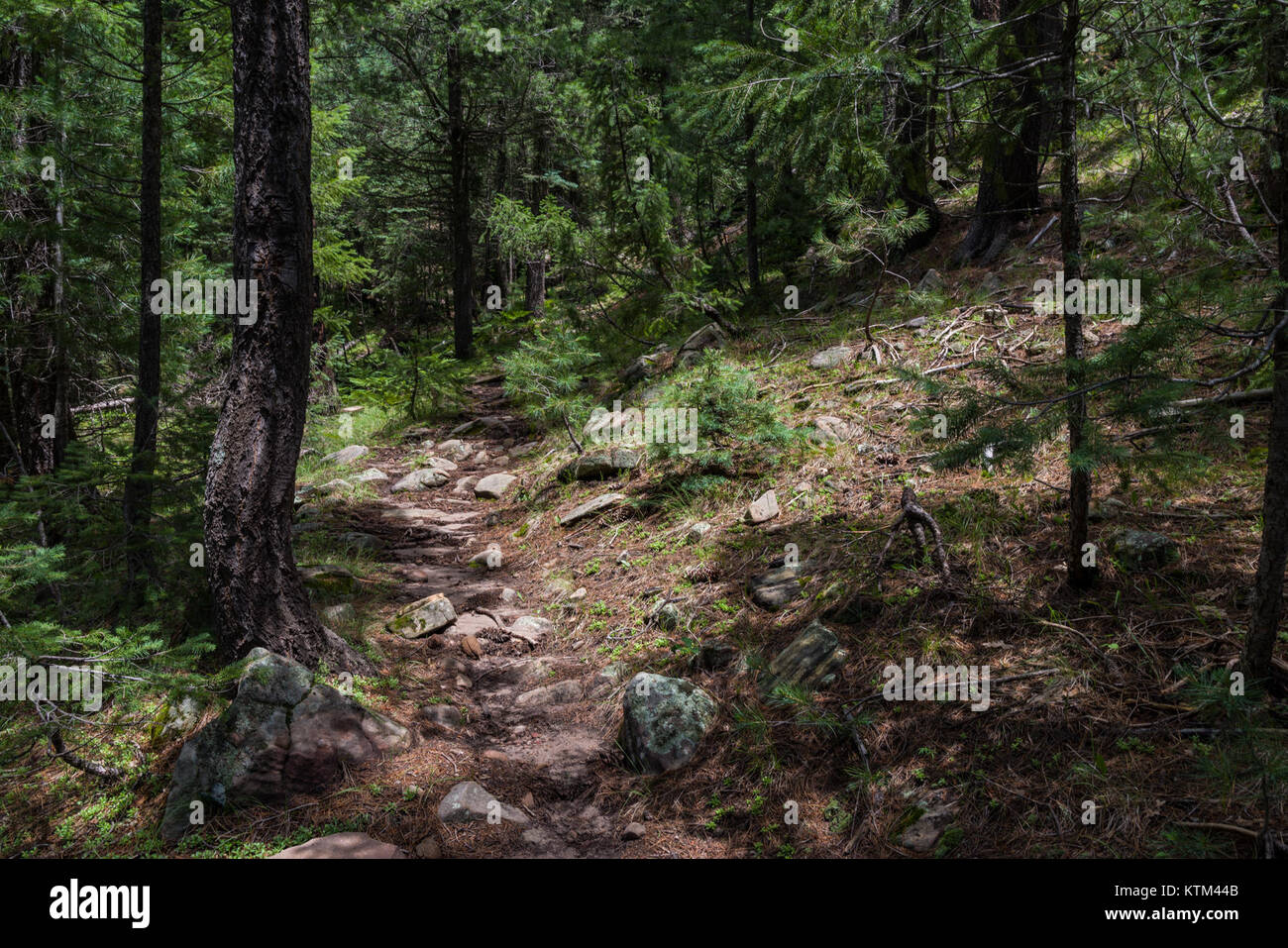 Der Barbershop Trail bezieht sich auf eine historische oder kulturelle Route, die die Tradition der Barbershop-Musik und -Gesang zelebriert, ein Genre, das in der afroamerikanischen Kultur und der amerikanischen Musikszene verwurzelt ist. Stockfoto