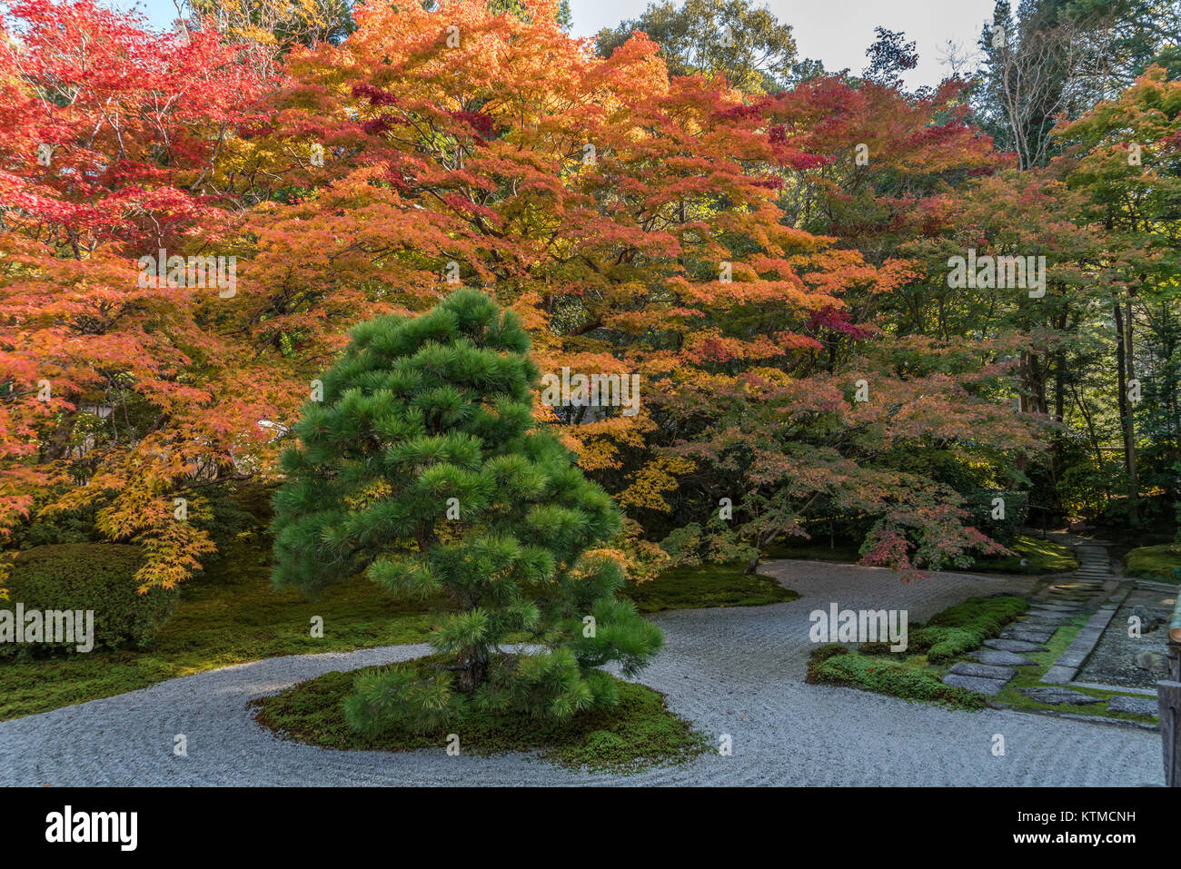 Herbstlaub Herbstlaub an Tenjuan Tempel geharkter Kies Rock Garden. Der subtemple Nanzenji. In Kyoto, Kyoto, Japan. Stockfoto