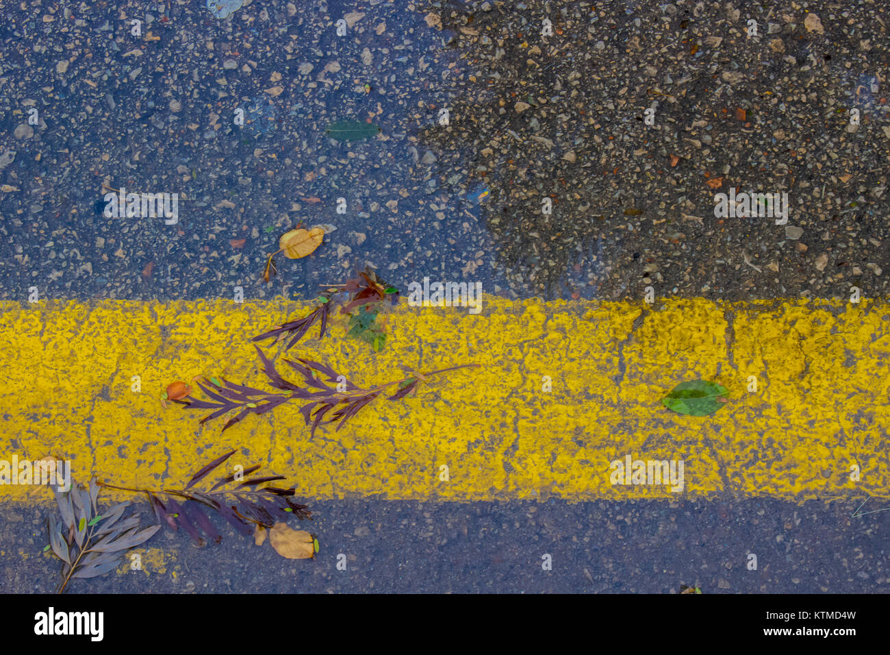 Gelbe Linie. Gelbe Linie, Laub und Schatten. Stockfoto