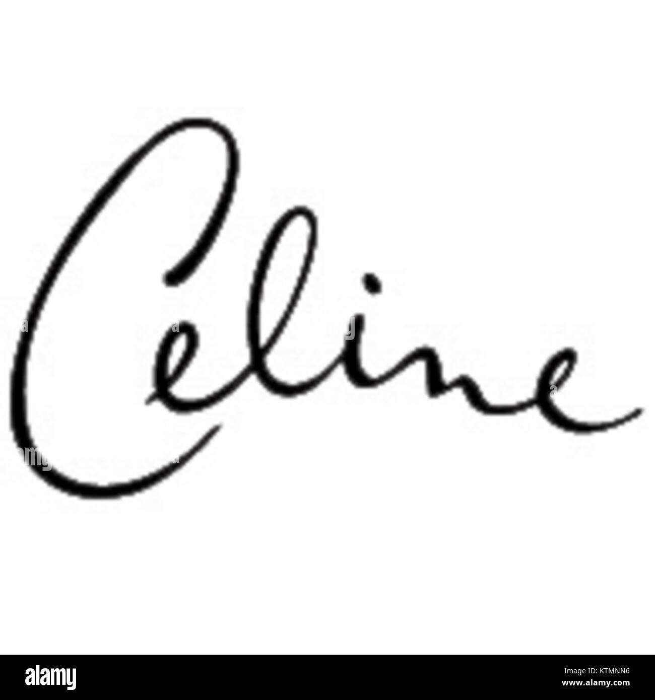 Celine Dion ist eine kanadische Sängerin, die für ihre kraftvolle Stimme und ihre bemerkenswerte Karriere in der Musikindustrie bekannt ist. Mit Hits wie „My Heart will Go On“ und „The Power of Love“ erzielte sie internationale Erfolge. Stockfoto