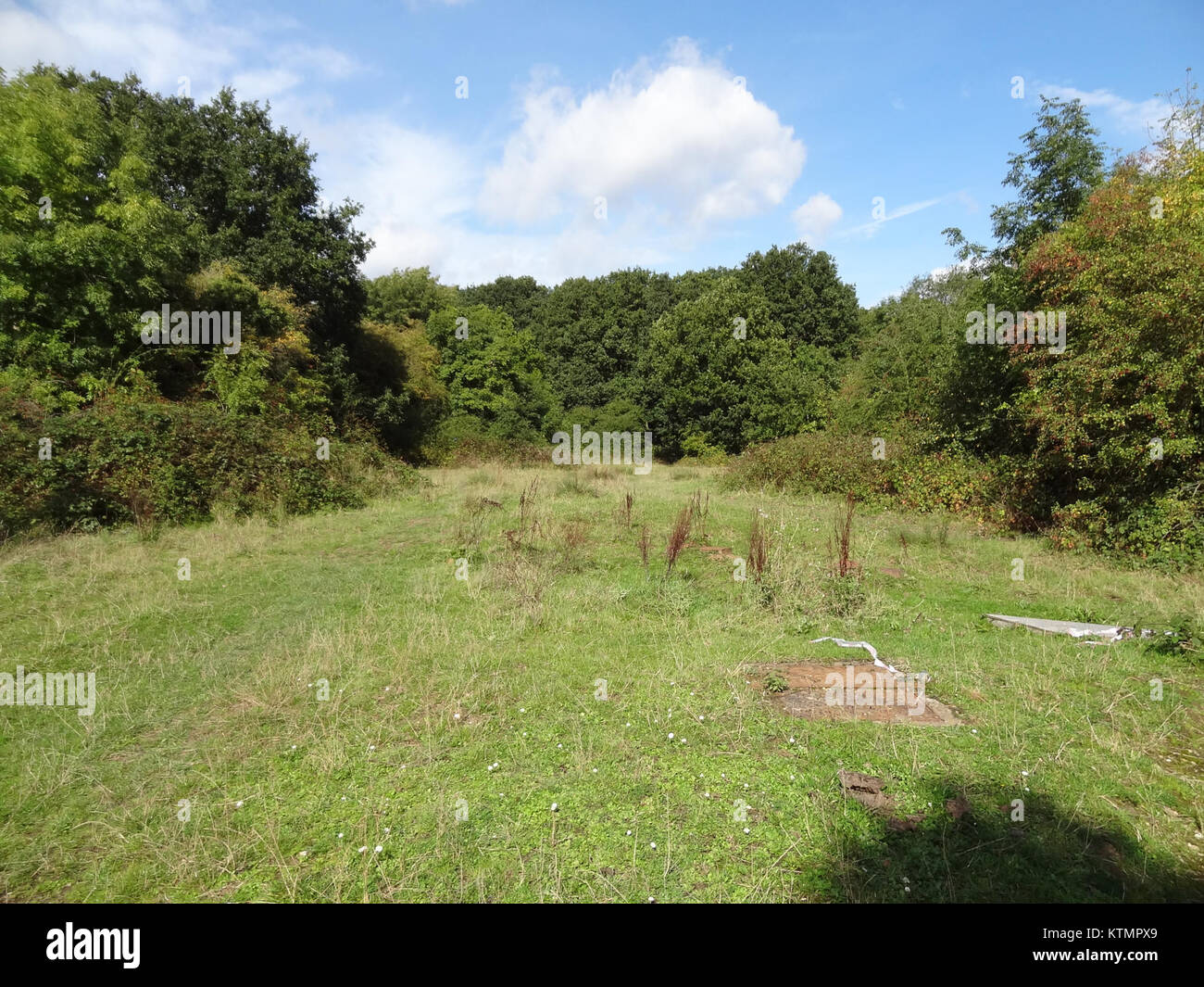 Bentley Priory Mase Feld Stockfoto