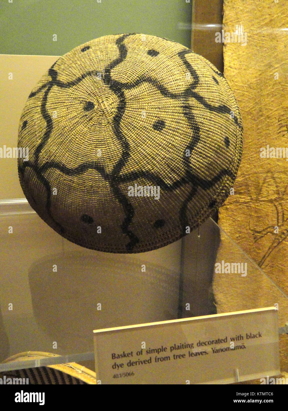 Dieser Yanomami-Korb, der im American Museum of Natural History (AMNH) untergebracht ist, ist ein traditionelles handgefertigtes Objekt der Yanomami-Bevölkerung Südamerikas. Der Korb zeigt das handwerkliche und kulturelle Erbe des Stammes der Yanomami. Stockfoto