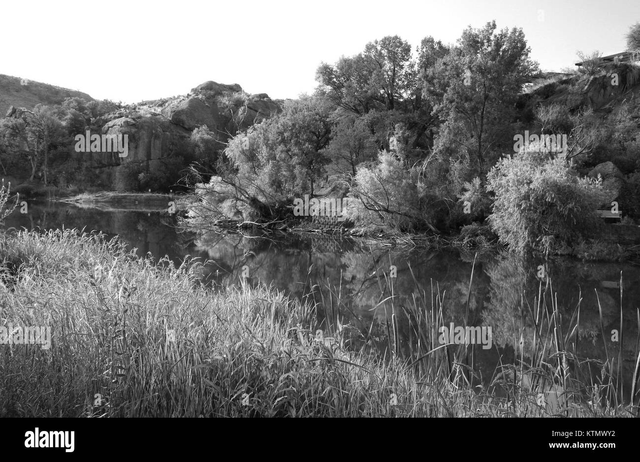 Der AZ Pena Blanca Lake, westlich von Nogales, Arizona, ist ein natürliches Gewässer, das für seine malerische Aussicht und Erholungsmöglichkeiten bekannt ist. Es ist ein beliebter Ort zum Angeln und für Outdoor-Aktivitäten in der Region. Stockfoto