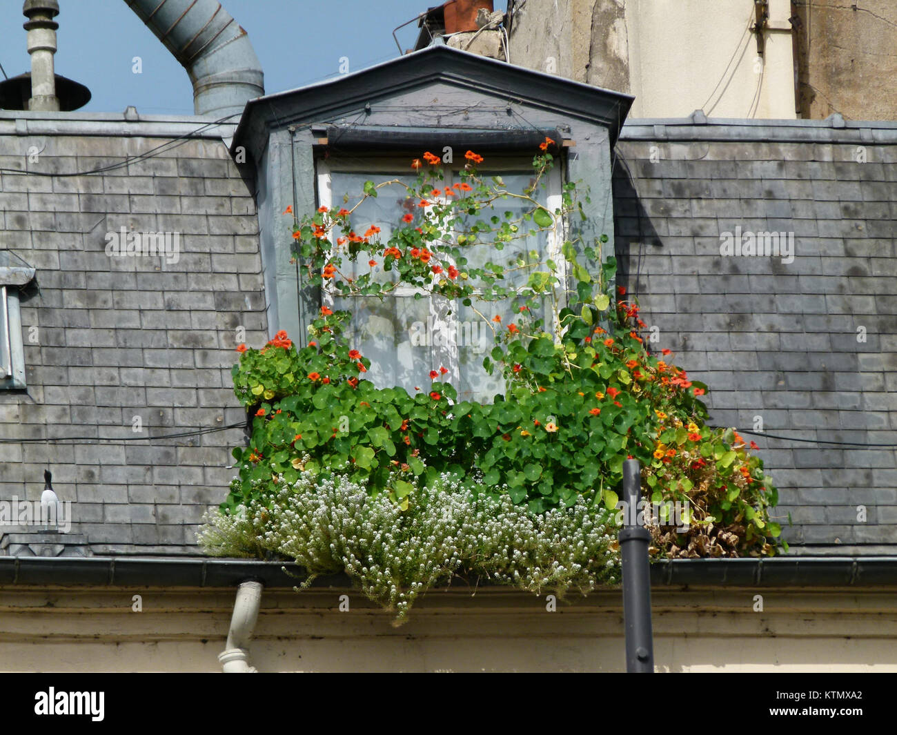 Die Balcon Rue Saint Julien le Pauvre ist ein historischer Ort in Paris, der für seine malerische Aussicht auf die Straße und seine kulturelle Bedeutung bekannt ist. Dieser Balkon bietet eine einzigartige Perspektive auf die Pariser Straßenlandschaft. Stockfoto