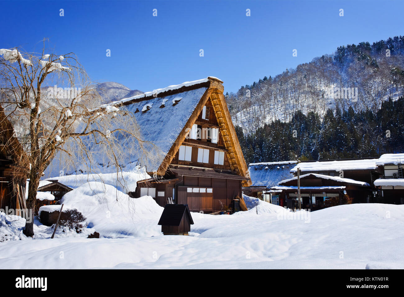 Gassho - Gassho-zukuri Ferienhaus am Ogimachi Dorf in Shirakawago, von der UNESCO zum Weltkulturerbe Stockfoto