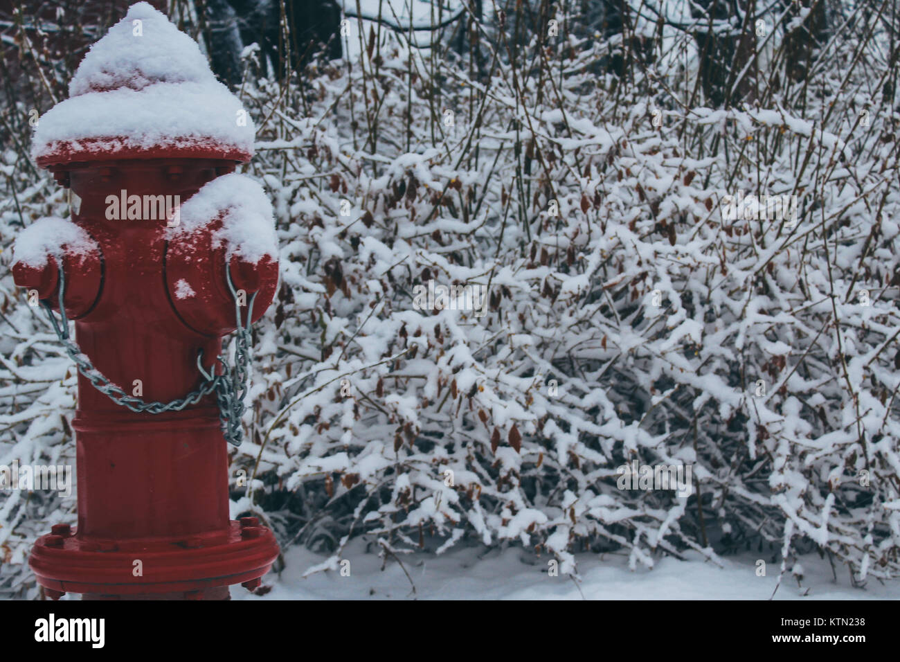 Winter Wonder Stockfoto