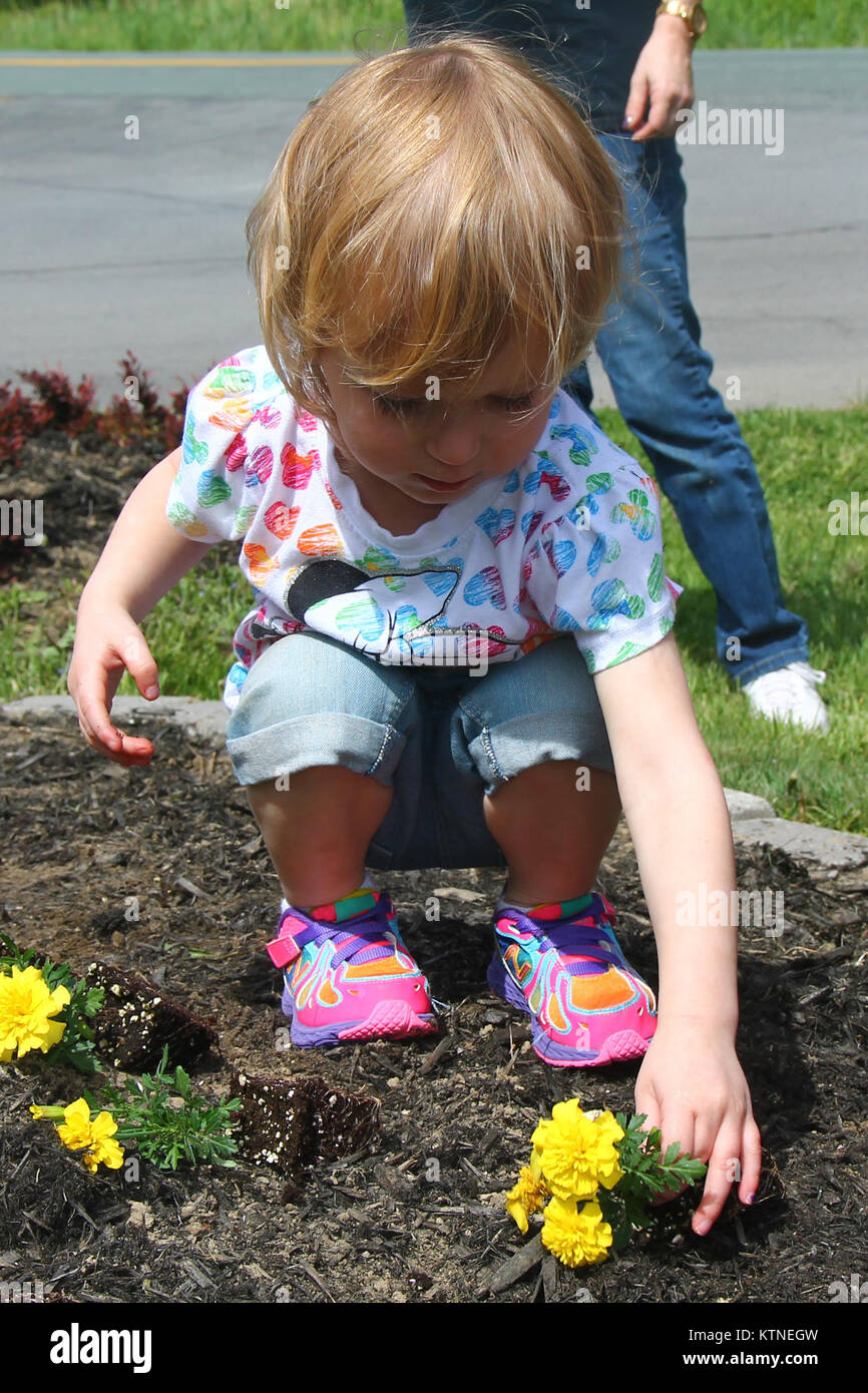 Ava Murphy, Tochter von Joanne Murphy, hilft als Mitglieder der New Yorker Nationalgarde Programm Jugend Pflanze einen Regenbogen der roten Geranien, gelben Ringelblumen und blauen Lobelien auf Streitkräfte Tag 18. Mai an der Waffenkammer der 42th Infantry Division Hauptsitz in Troy, New York, der NYNG Programm Jugend zielt darauf ab, Kinder der Militär-Mitglieder zu unterstützen und pflanzten Blumen in Troy und in Latham, New York (USA Armee Foto von SPC. J.p. Lawrence, 42th Infantry Division Public Affairs Office). Stockfoto