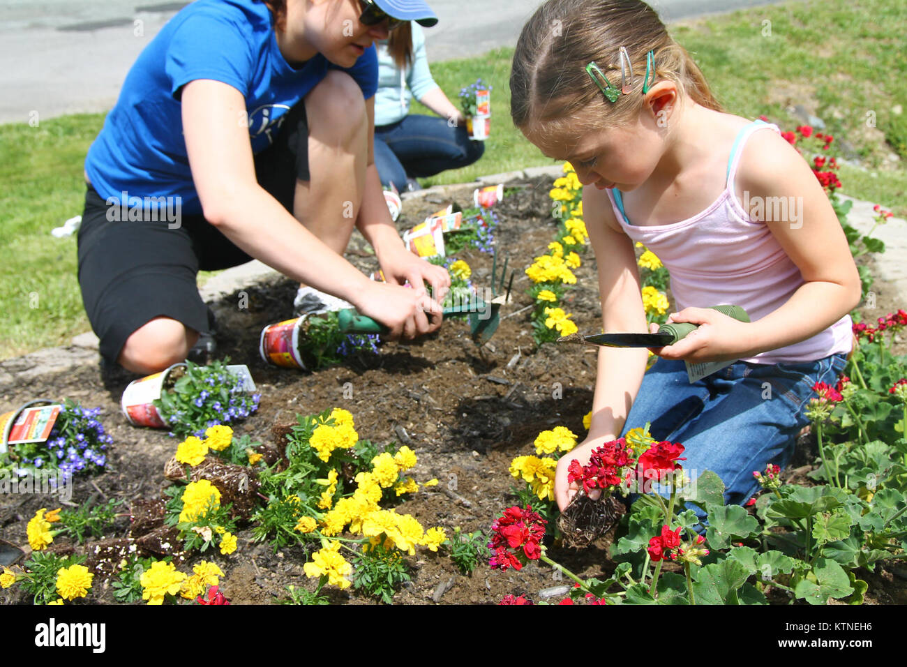Christina Tygert und Polly Hansen, Tochter von Ashley Hansen, Hilfe als Mitglieder der New Yorker Nationalgarde Programm Jugend Pflanze einen Regenbogen der roten Geranien, gelben Ringelblumen und blauen Lobelien auf Streitkräfte Tag 18. Mai an der Waffenkammer der 42th Infantry Division Hauptsitz in Troy, New York, der NYNG Programm Jugend zielt darauf ab, Kinder der Militär-Mitglieder zu unterstützen und pflanzten Blumen in Troy und in Latham, New York (USA Armee Foto von SPC. J.p. Lawrence, 42th Infantry Division Public Affairs Office). Stockfoto