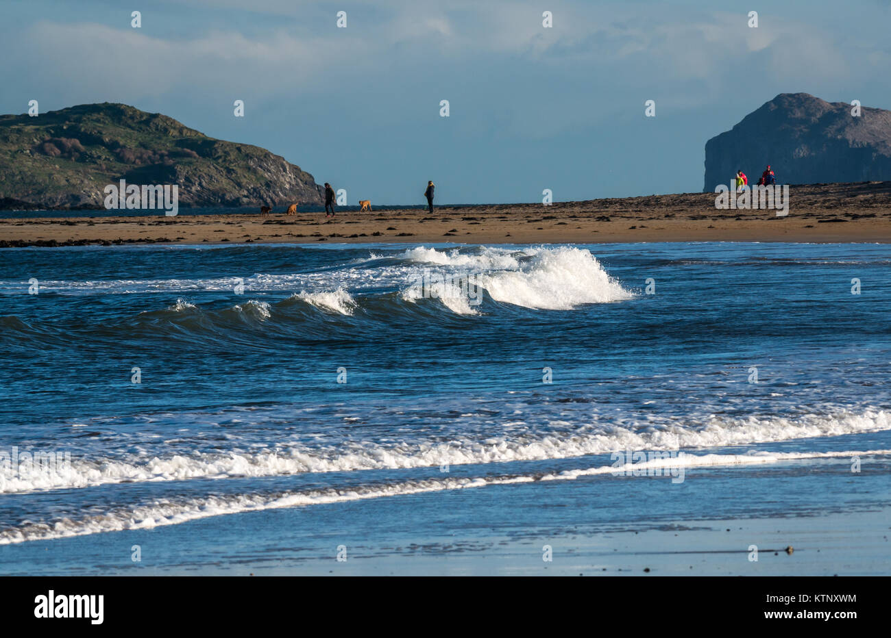 Yellowcraig Strand, Dirleton, East Lothian, Schottland, Vereinigtes Königreich. 28 Dez, 2017. Einen schönen kalten und windigen sonnigen Tag Winter mit Familien und Hunde am Strand und einen Blick auf Bass Rock im Firth von weiter. Der Wind erzeugt Wellen Stockfoto