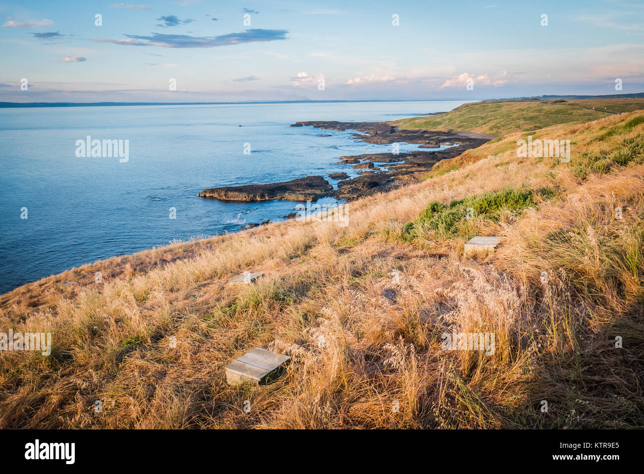 Phillip Island in Australien Stockfoto