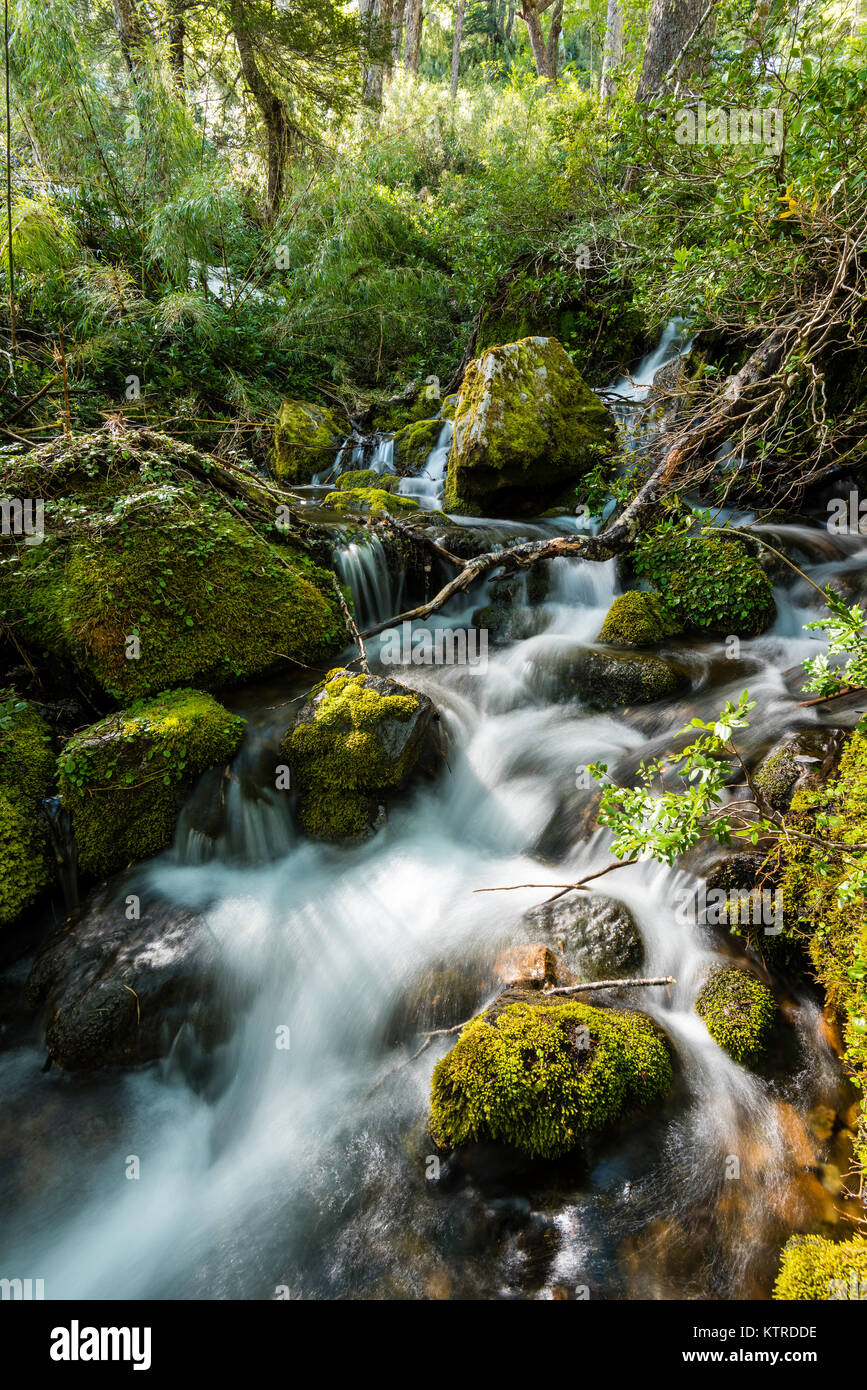 Wasserfall im Huerquehue Nationalpark in den Ausläufern der Anden, in der Valdivian gemäßigten Regenwald der La Araucania Region. Stockfoto