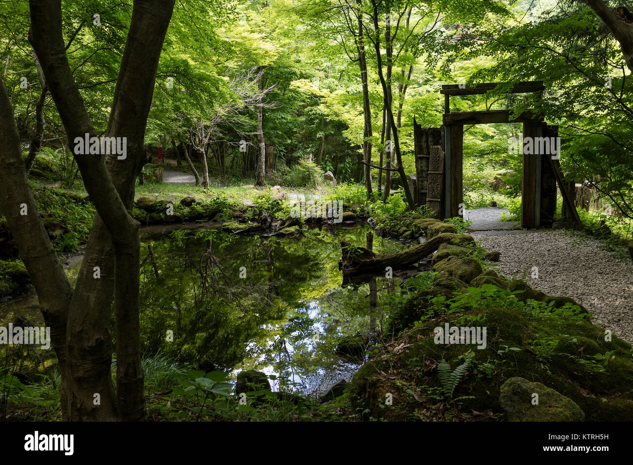 Kawaguchio - Japan, 14. Juni 2017: Garten um Kubota Itchiku Art Museum in Fuji fünf Seen im Frühling Stockfoto