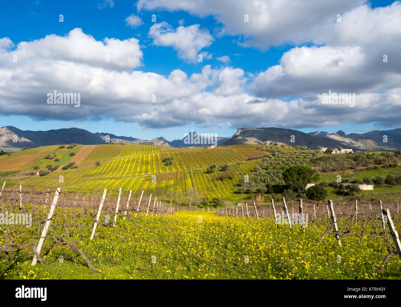 Sizilianischen Landschaft, Camporeale, Sizilien, Italien, 12.26.2017 Stockfoto