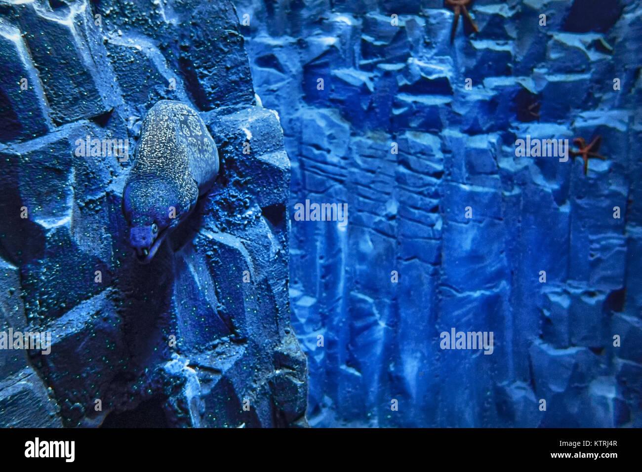 Moray Stockfoto