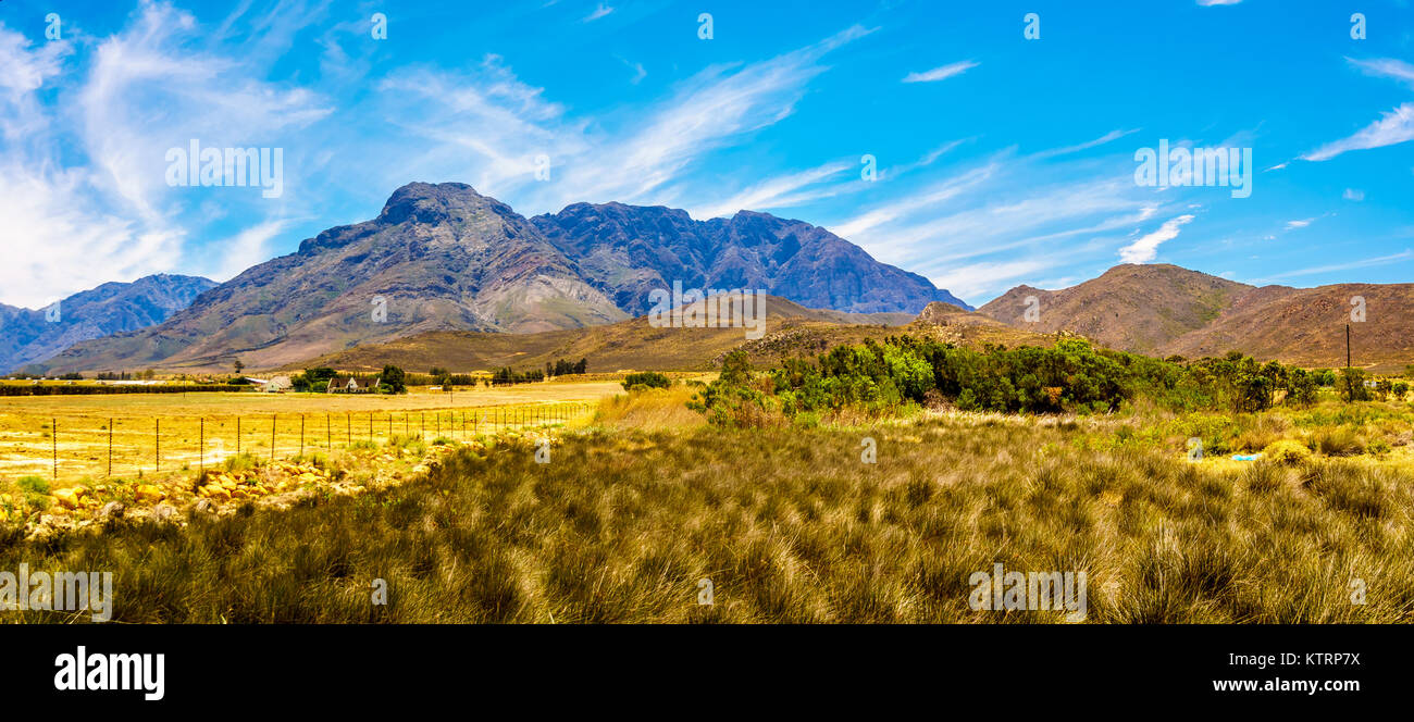 Panorama von Ackerland und die umliegenden Berge im Boland Region der Provinz Western Cape in Südafrika Stockfoto