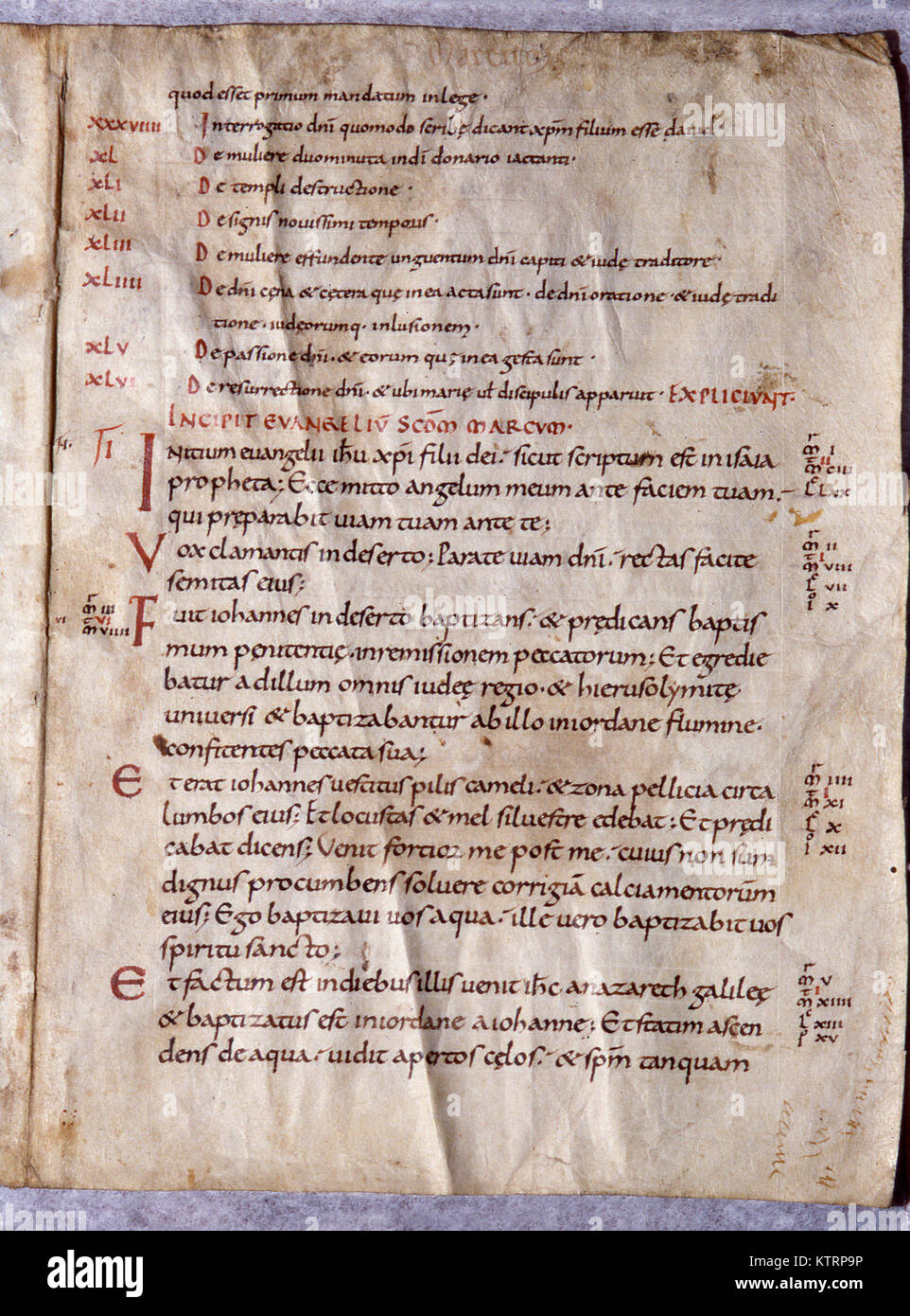 Biblische Manuskripte der lateinischen Vulgata auf Pergament geschrieben, 10. Jahrhundert, England. Mit Genehmigung der Reed Collection bei Dunedin Public Library, New Zealand verwendet Stockfoto