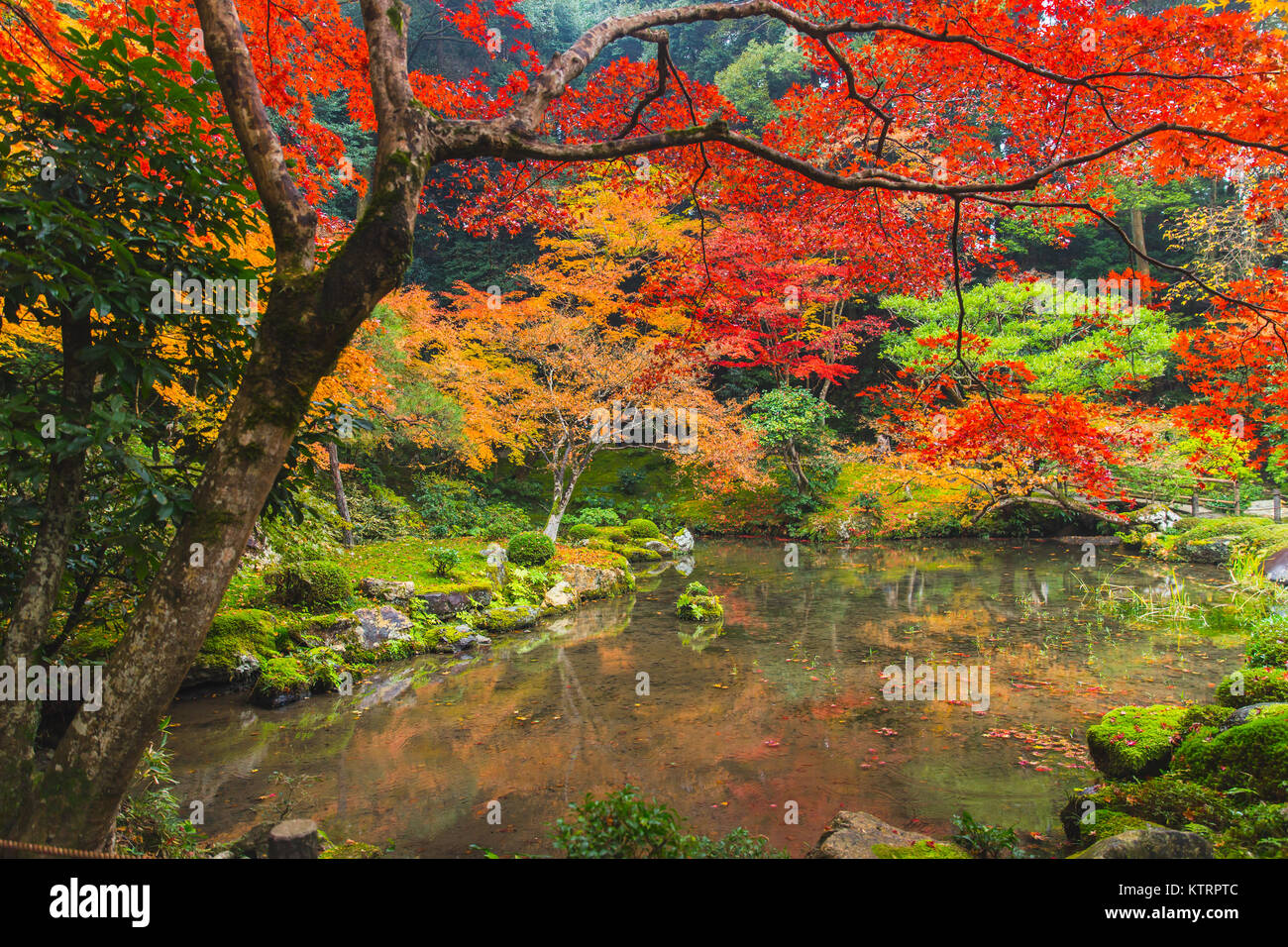 Kyoto Herbst Coloful Jahreszeit Red Maple Leaf Garden auf Nanzen-ji-Tempel Kansai Reisen Japan. Stockfoto