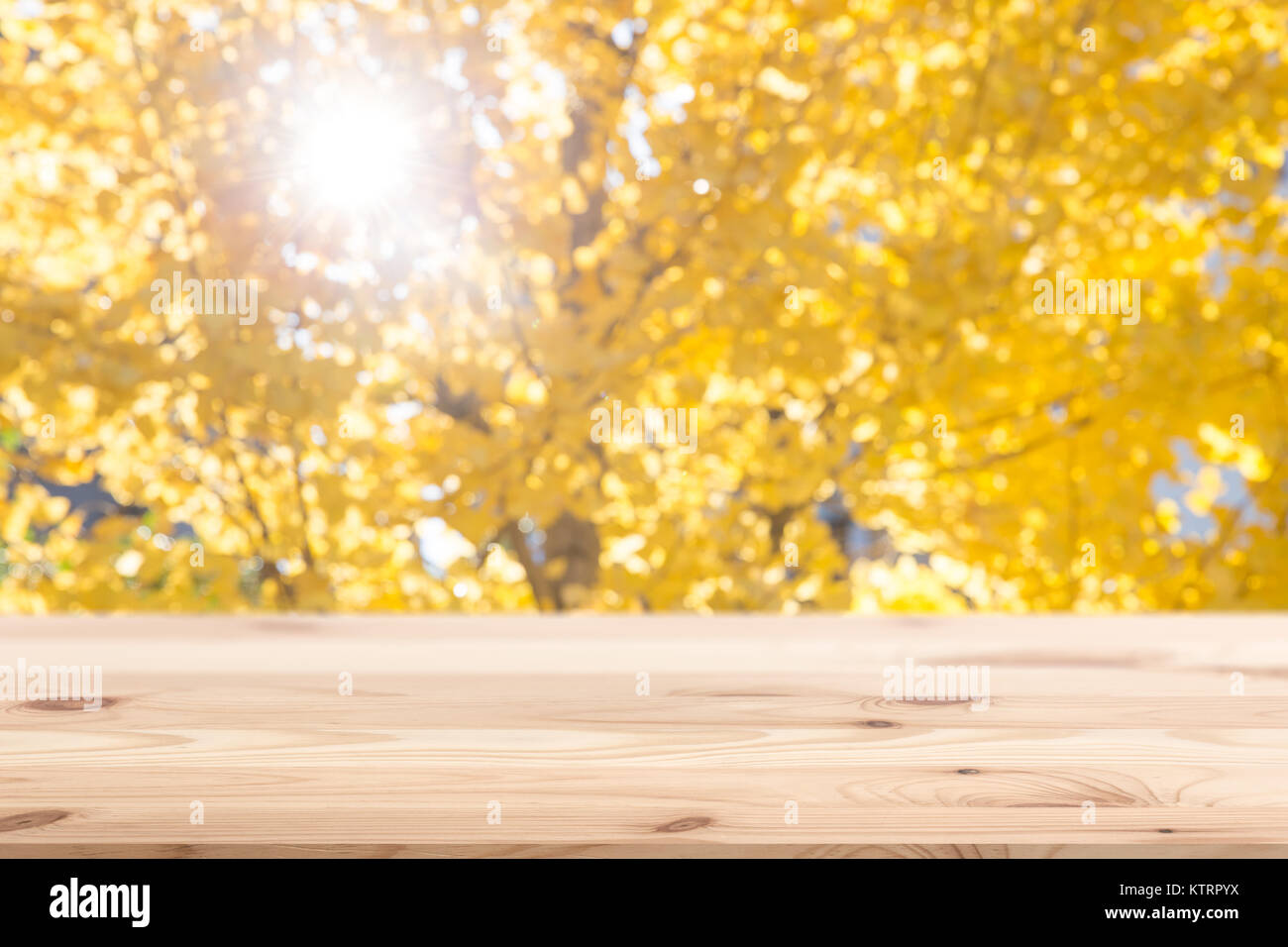 Blur Herbst Herbst Jahreszeit Baum Hintergrund mit Holz für Display Promotion Produkte Hintergrund. Stockfoto