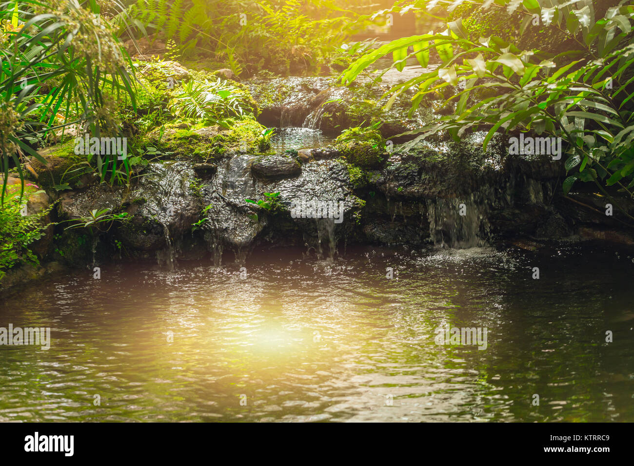 Grünen Wald mit Wasserfall ruhe Morgensonne Licht schöne Natur Hintergrund Stockfoto