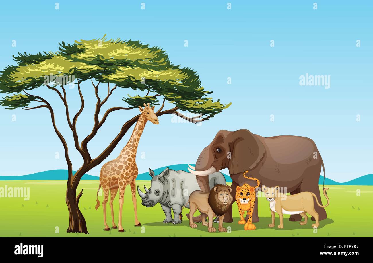 Abbildung: Afrikanische Tiere in der Savanne Stock Vektor