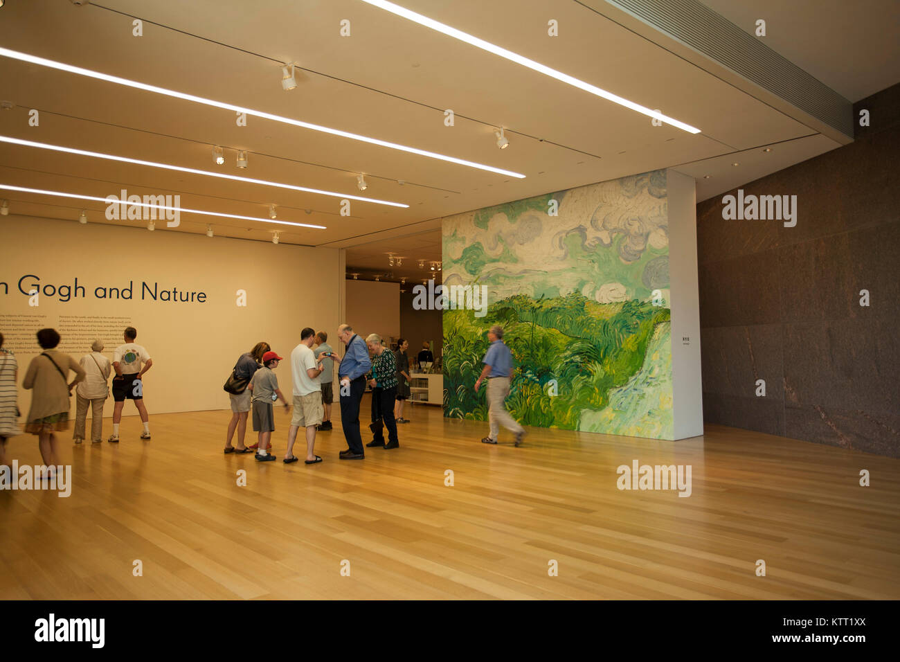 Van Gogh Ausstellung an der Clark Art Museum in Williamstown, MA USA. Stockfoto