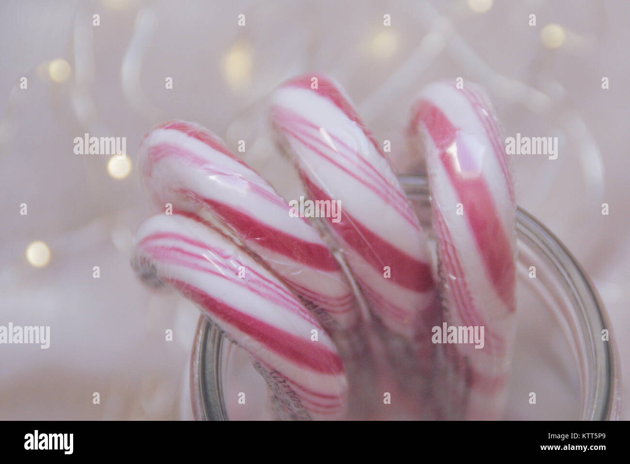 Zuckerstangen im Glas Stockfoto