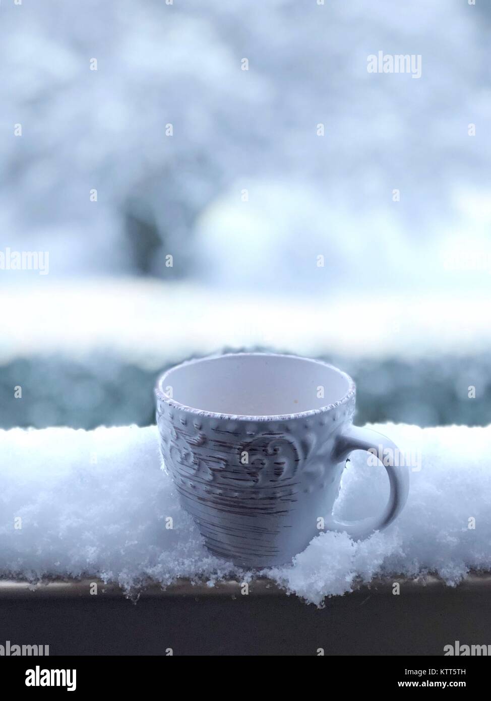 Schale auf einem Felsvorsprung im Schnee Stockfoto