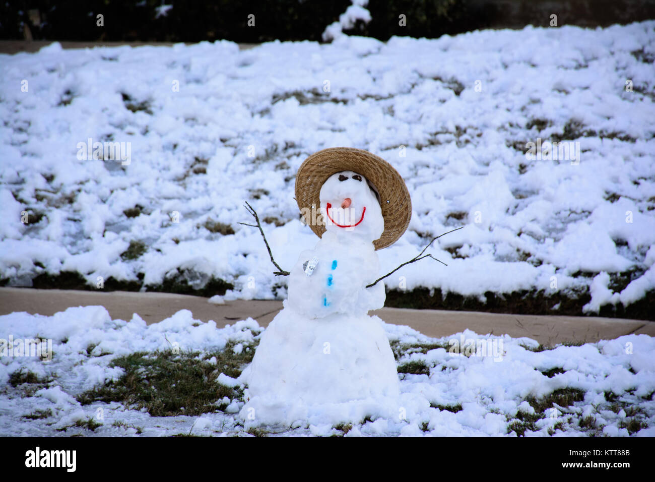 Schneemann Stockfoto