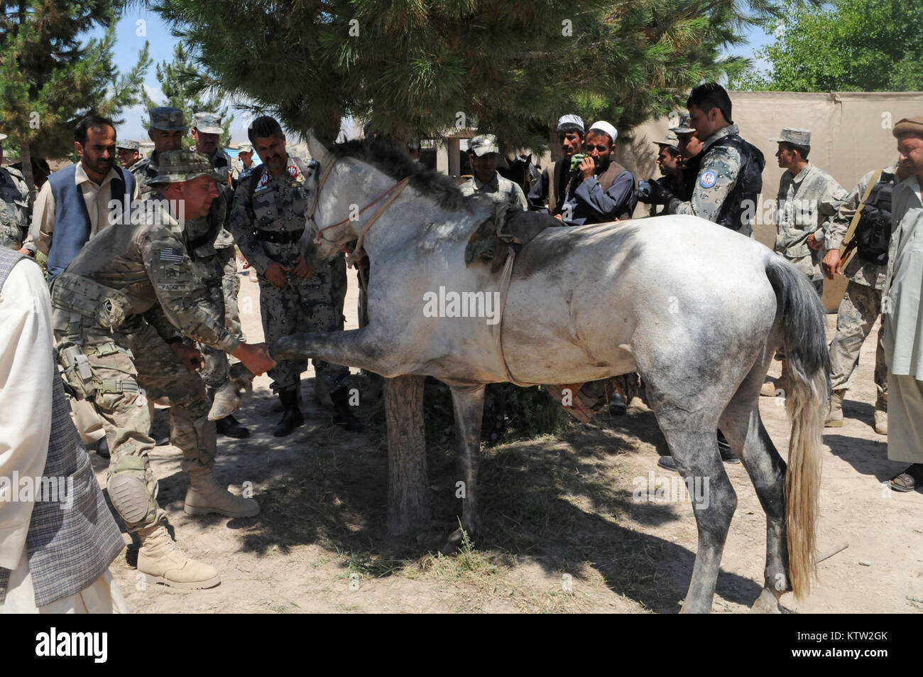 Sgt. 1. Klasse Pete Padgett, schwere Waffen Firma Mentor für die 5. Zone afghanische Grenzpolizei Sicherheit Kraft Hilfe team zu der 37th Infantry Brigade Combat Team zugewiesen, Schecks über ein Pferd während der letzten Mission auf den 5 Kandak in Khawajah Bahawuddin, Provinz Badakhshan, Afghanistan, 27. Juni 2012. Padgett, die Pferde zurück besitzt in seinem Haus in Eatonville, Washington, geholfen, die 5 Kandak Soldaten, um zu entscheiden, welche Pferde von lokalen Bauern für berittene Patrouille des Kandak der tadschikischen Grenze setzen zu kaufen. (37 IBCT Foto von Sgt. Kimberly Lamm) (freigegeben) Stockfoto