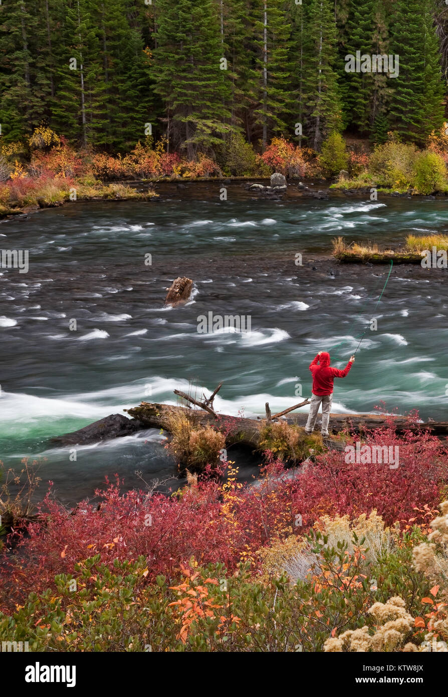 Herbst Fliegenfischen auf den Deschutes River außerhalb Schlaufe Oregon Stockfoto