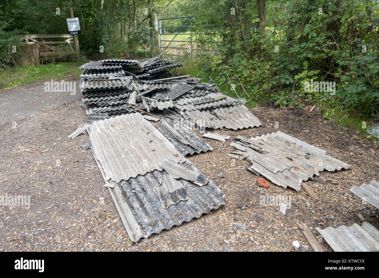 Dachbahnen, möglicherweise Asbest, in einer lag in der Nähe von Stansted Park, West Sussex entleert. Stockfoto