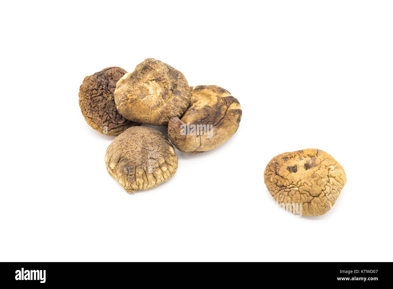 Gemüse Pilze Stockfoto
