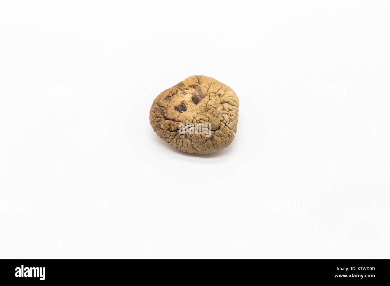 Gemüse Pilze Stockfoto