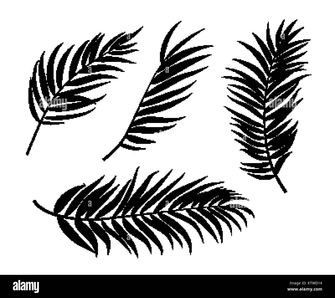 Beautifil Palm Tree Leaf Silhouette Hintergrund Vector Illustration Stock Vektor