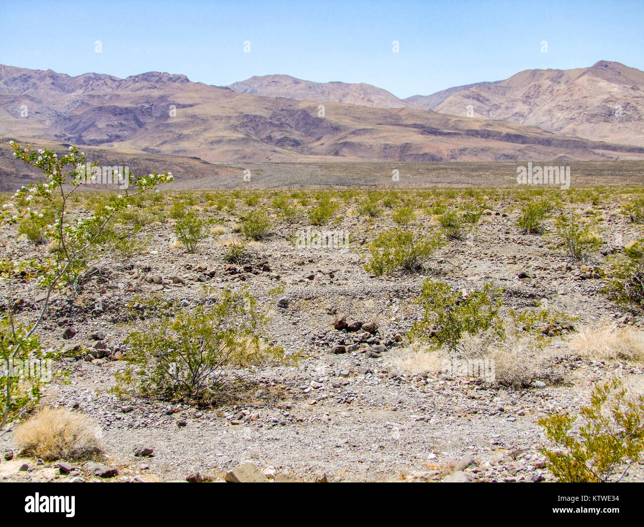 Aride Landschaft rund um Death Valley National Park in den USA Stockfoto