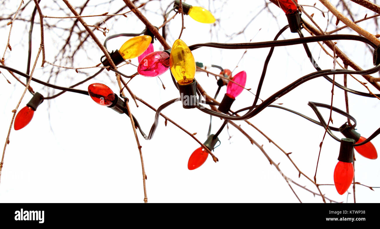 Weihnachtsbeleuchtung am Baum draußen (String) Stockfoto