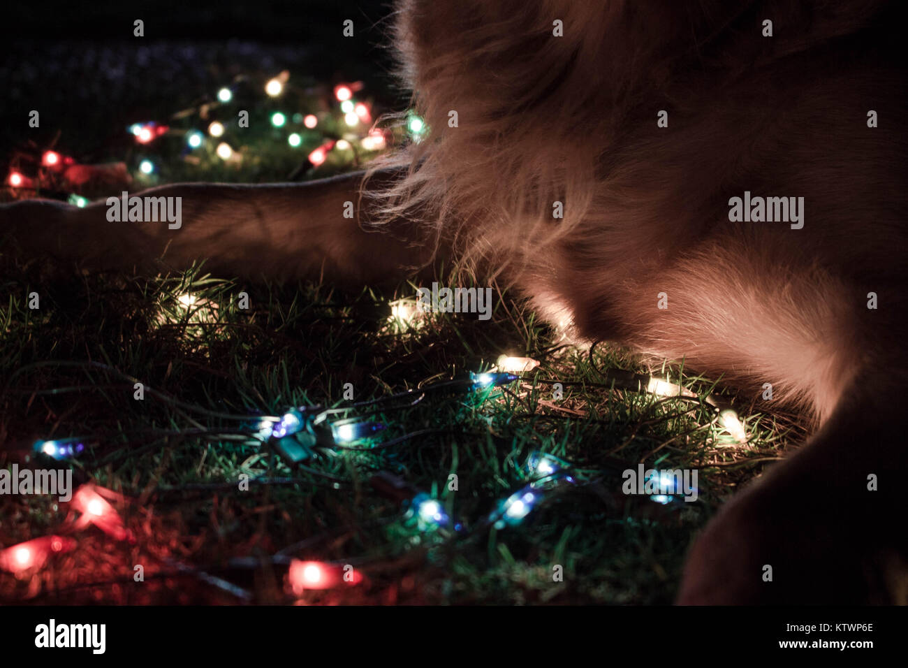 Tumblr Lichter Stockfotos Und Bilder Kaufen Alamy