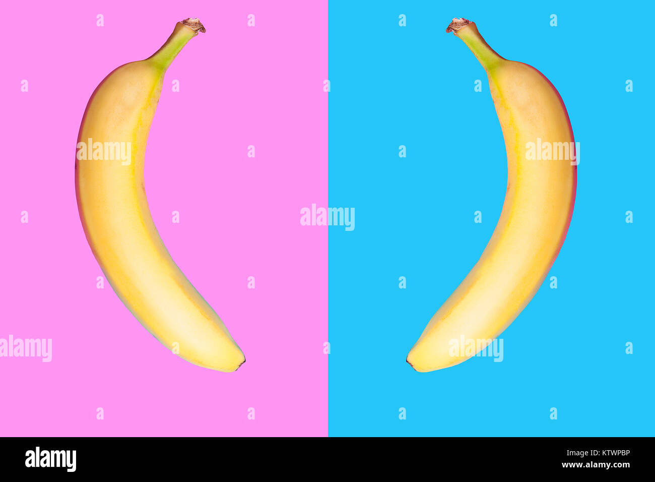 Zwei Bananen mit Blick auf zwei andere eatch colroed Hintergrund Stockfoto