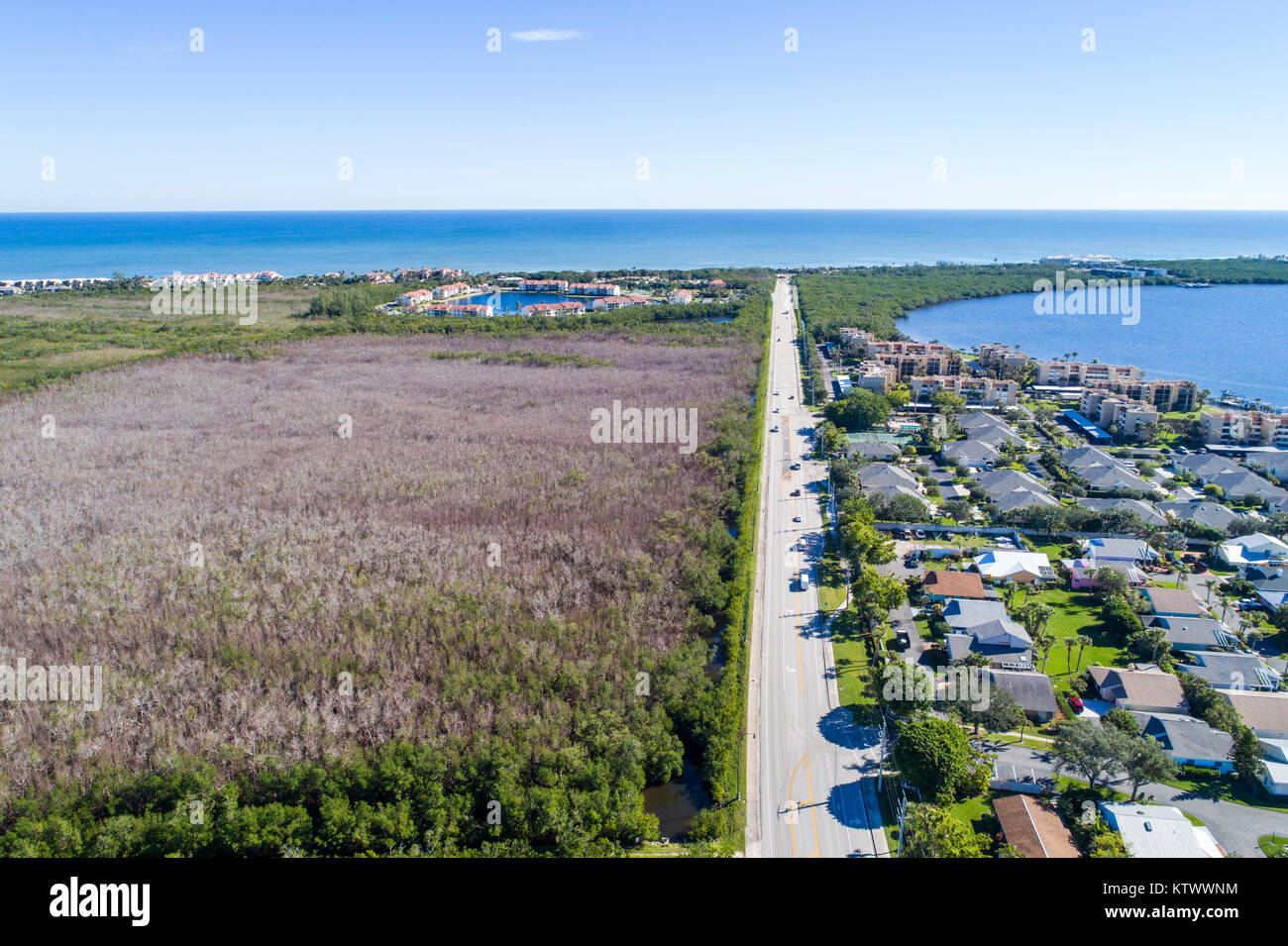 Jensen Beach Florida, Causeway Boulevard, Indian River Ecological Lagoon, Wasser, großer Baum, der von toten Bäumen abstirbt, Luftaufnahme von oben, FL17121447d Stockfoto