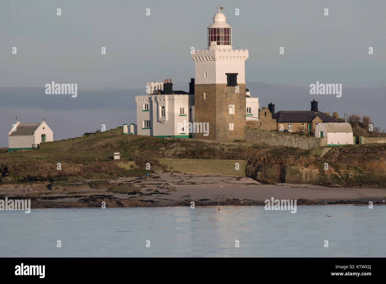 Coquet Insel in Northumberland Stockfoto