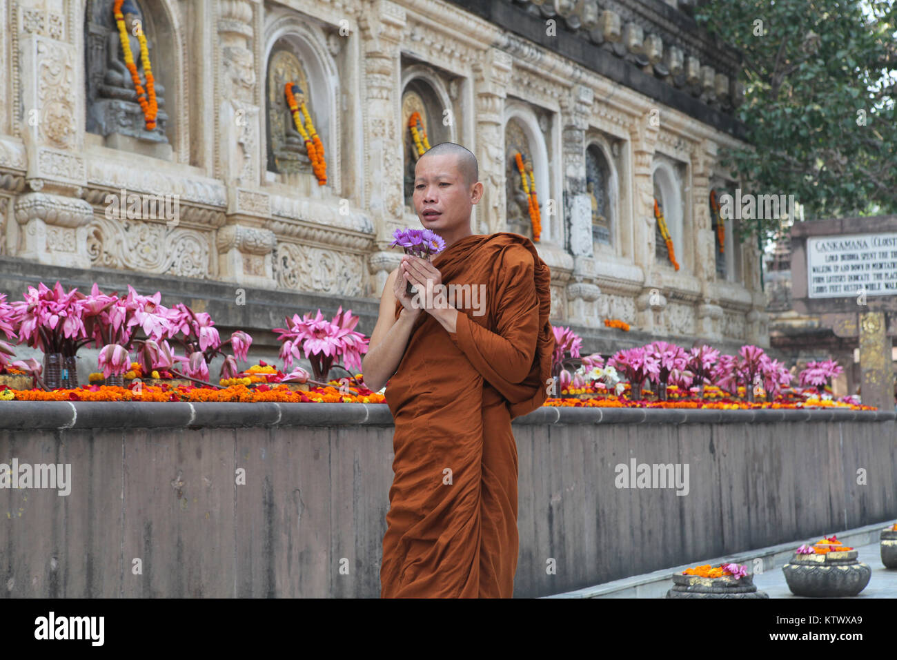 Ein buddhistischer Mönch betet an der Mahabodhi Tempel in Bodhgaya, Indien Stockfoto