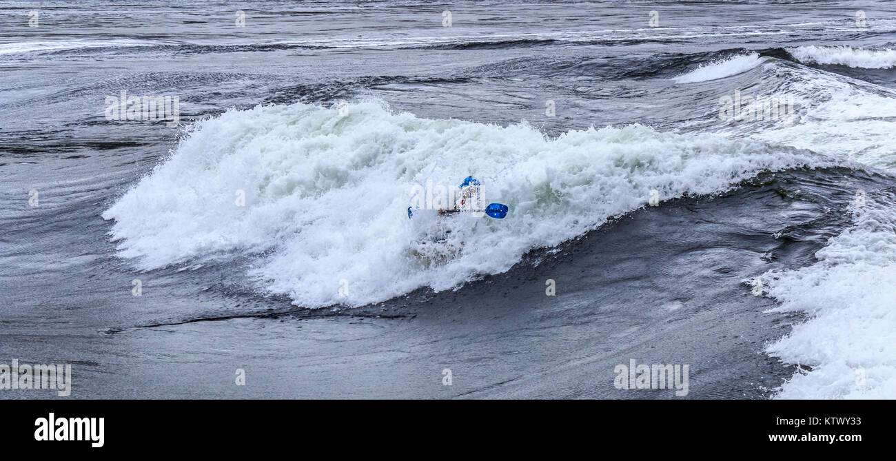 Eine behelmte Mann in einem Kajak verschwindet fast in eine riesige Welle an Sechelt Rapids, eines der schnellsten Gezeiten der Welt vergeht (British Columbia). Stockfoto
