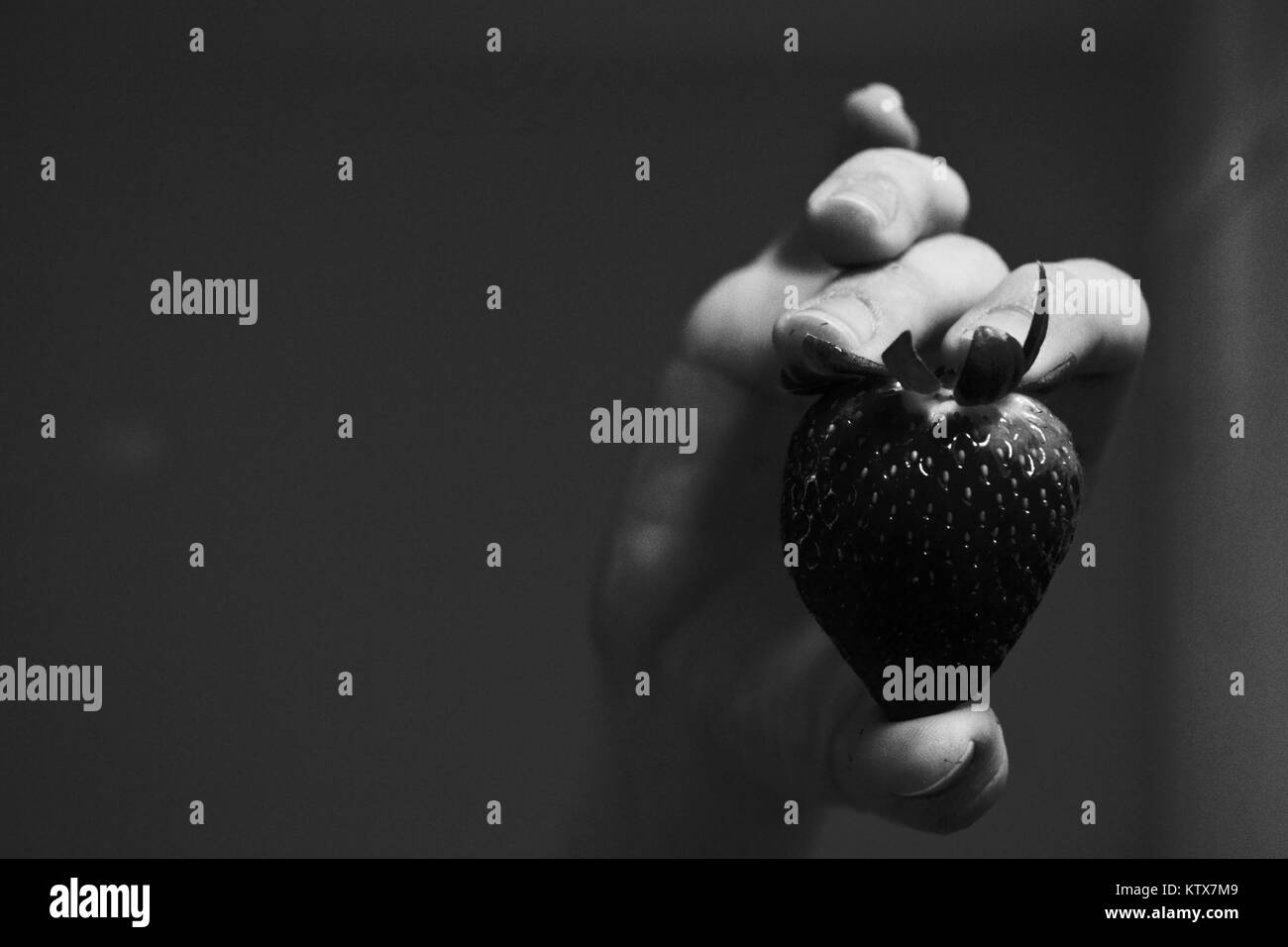 Atemberaubende organisch angebauten Erdbeeren werden von Frau gehalten. B&W Stockfoto