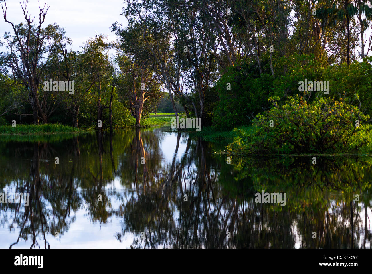 Yellow Water Billabong, Kakadu National Park, UNESCO-Weltkulturerbe, Northern Territory, Australien, Pazifik Stockfoto