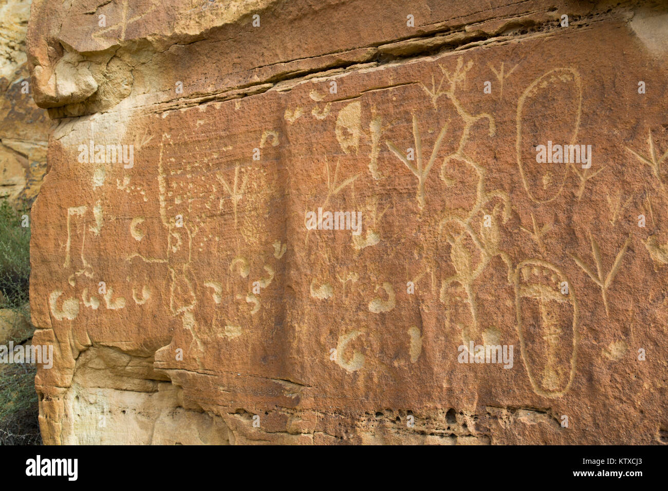 Petroglyphen, bis zu 1500 Jahre alt, Crow Canyon, Utah, Vereinigten Staaten von Amerika, Nordamerika Stockfoto