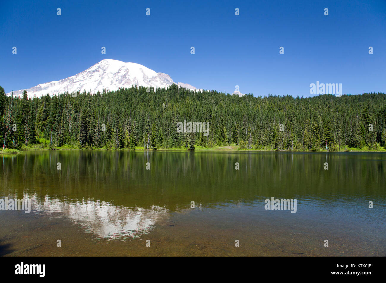 Reflection Lake, Mount Rainier National Park, Washington State, Vereinigte Staaten von Amerika, Nordamerika Stockfoto
